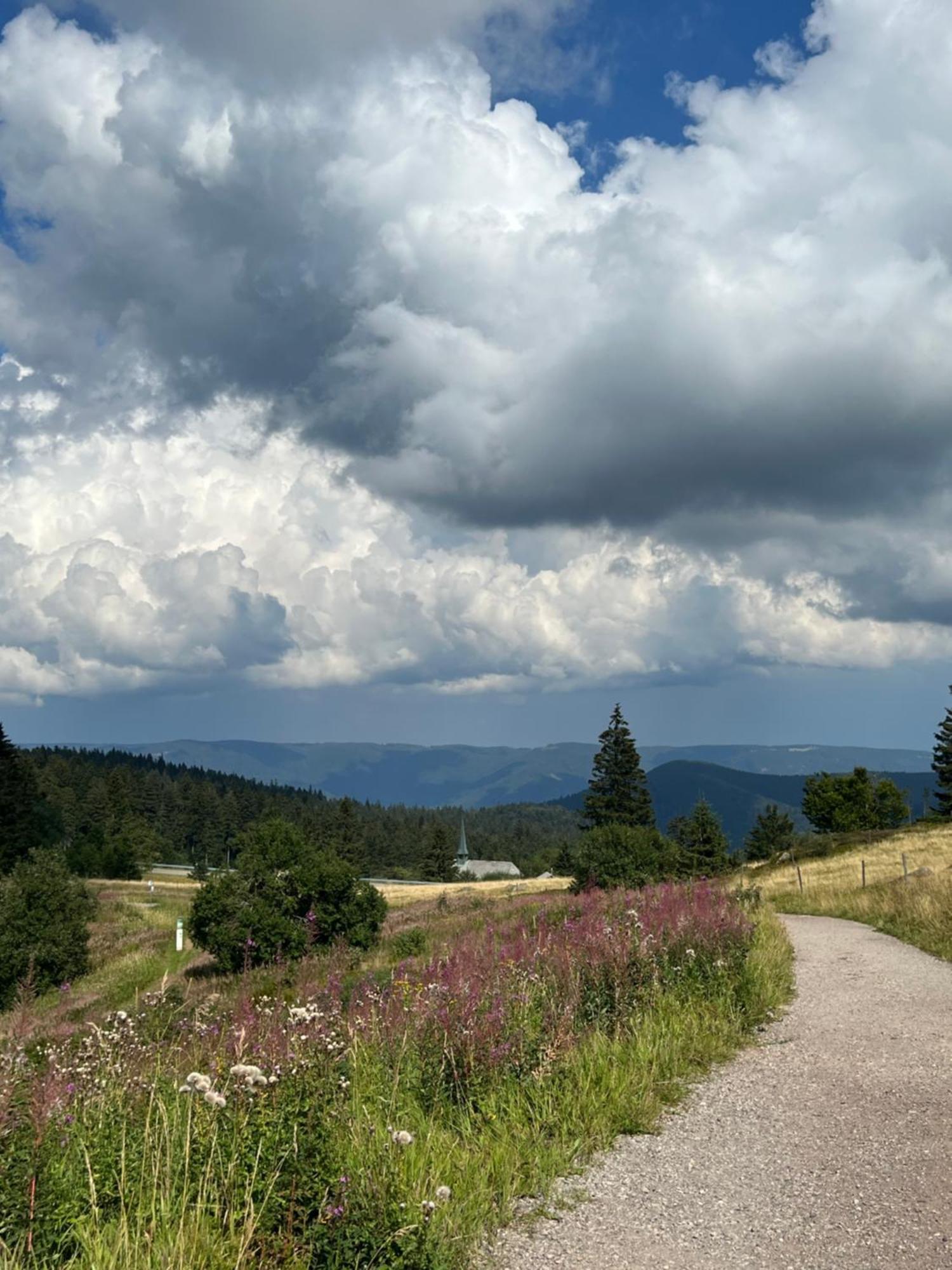 Bergwelt Kandel Hotel & Eventlocation Waldkirch Eksteriør bilde